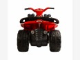 Quad Mega Cyclops 12V